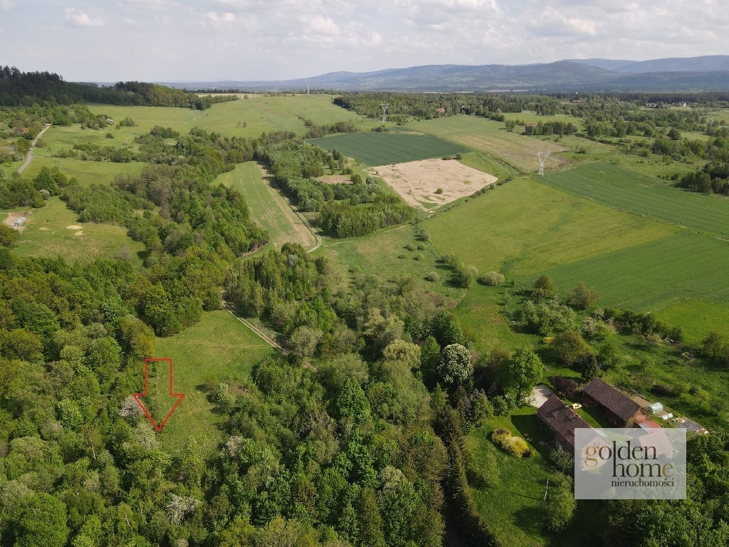 Odkryj swoje 1,16 ha marzeń w Świeciu!