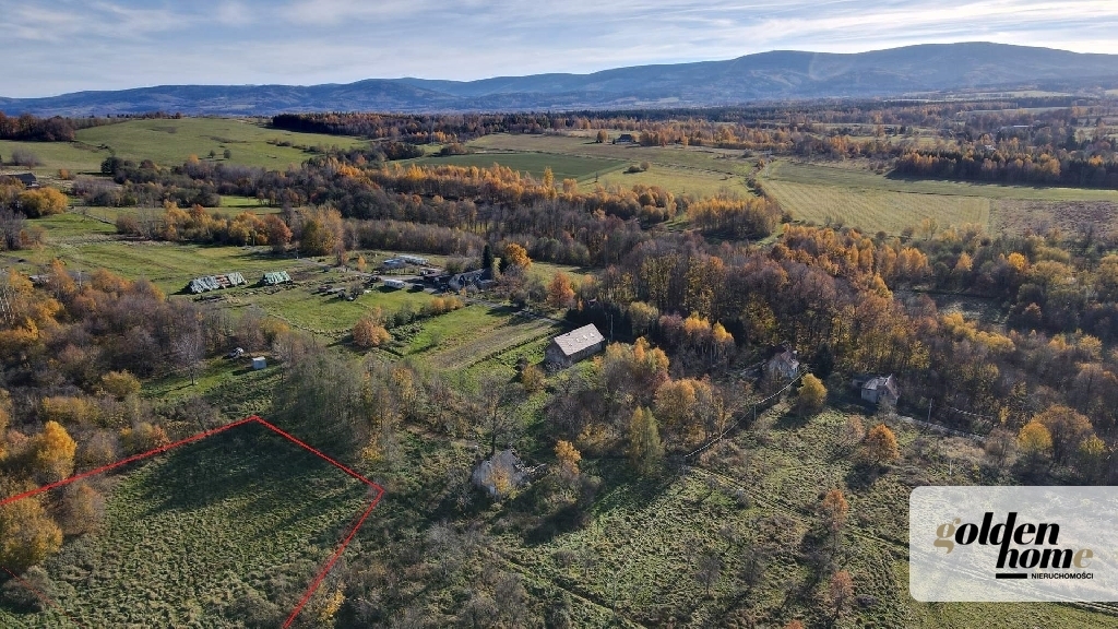 ⭐️żyć wolniej, pełniej i bliżej natury?⭐️