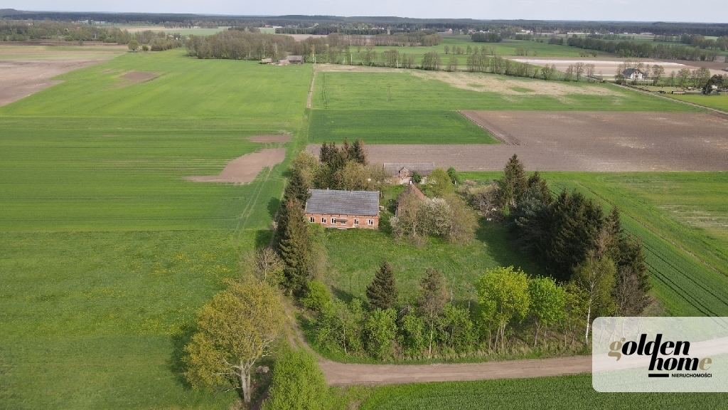 ⭐TUCHORZYNIEC zagroda z początku XXw.⭐