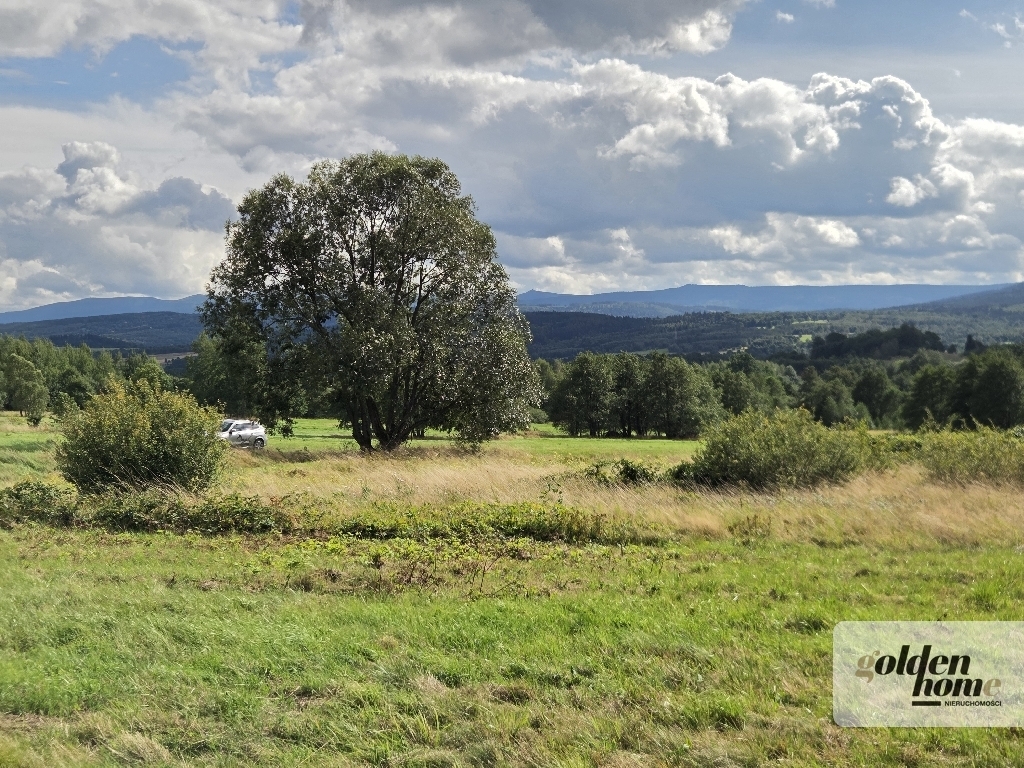 Piękny widok na Pasmo Karkonoszy/Izerów